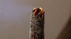 White Sage Bundle
