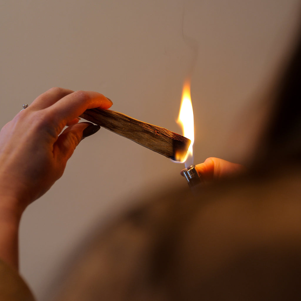 Hand holding a lit palo santo against a plain background